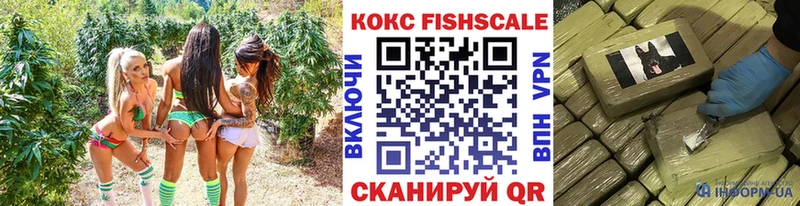 hydra онион  Ефремов  Cocaine 98% 