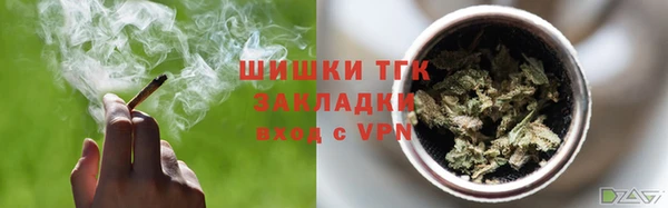 ПСИЛОЦИБИНОВЫЕ ГРИБЫ Белоозёрский