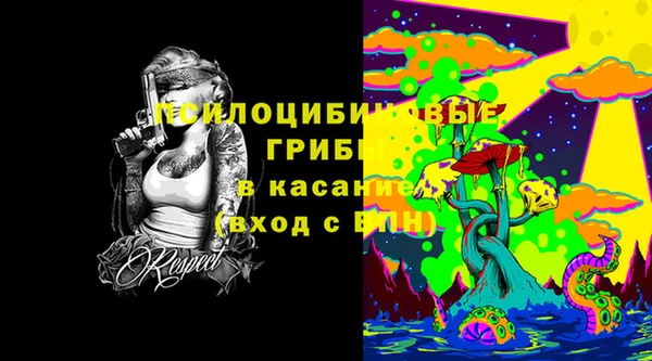 ПСИЛОЦИБИНОВЫЕ ГРИБЫ Белоозёрский