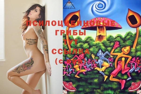 ПСИЛОЦИБИНОВЫЕ ГРИБЫ Белоозёрский