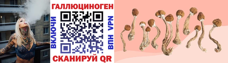дарнет шоп  Ефремов  Галлюциногенные грибы ЛСД 